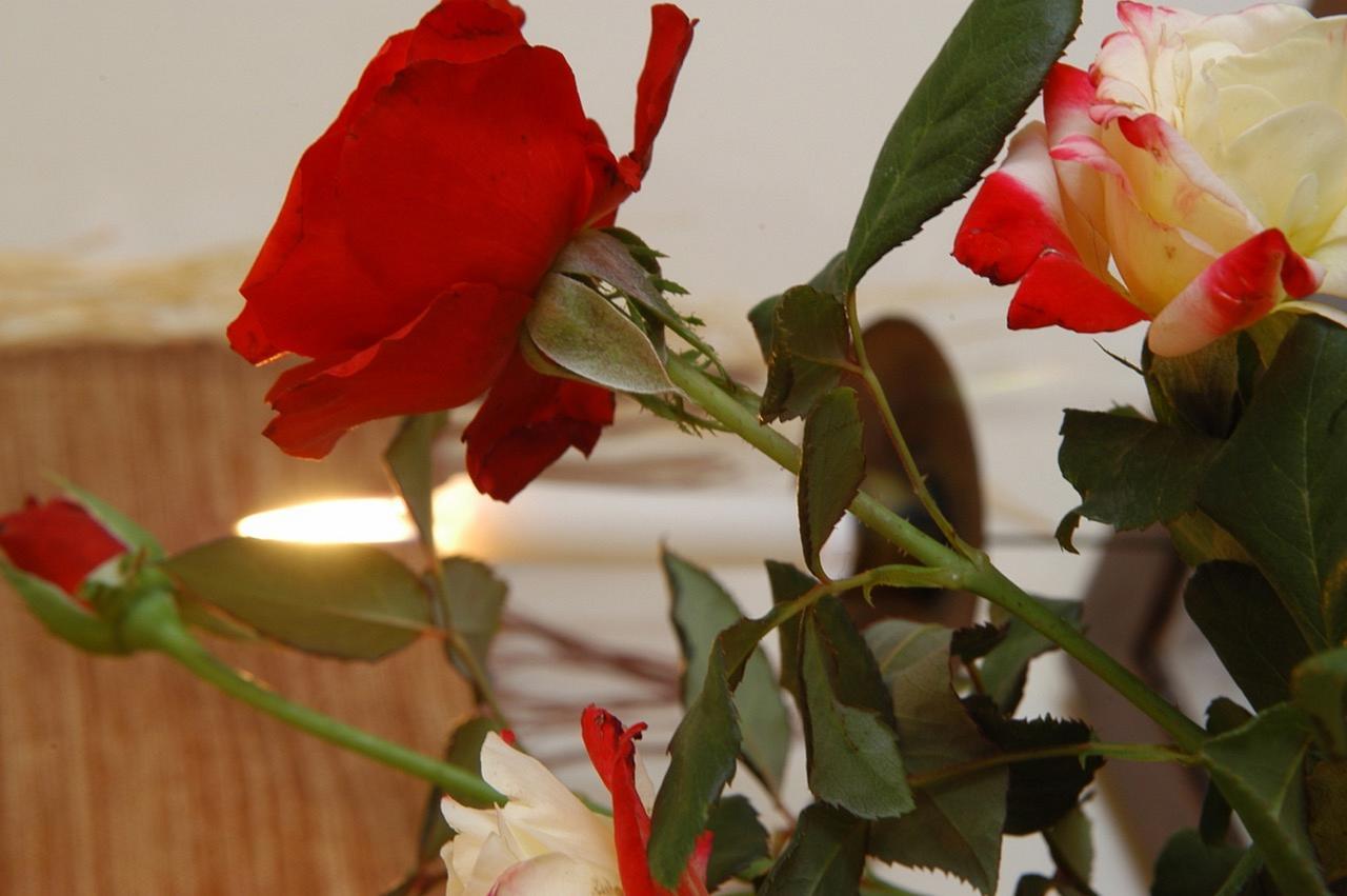 Riad Hadika Maria Marakeş Dış mekan fotoğraf